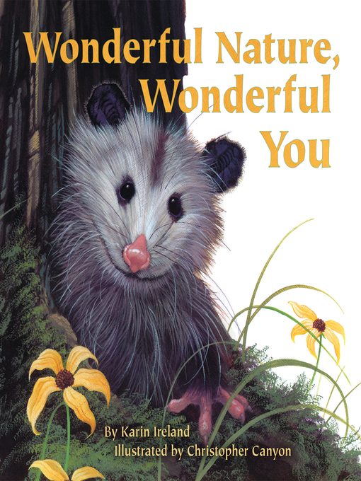 Cover image for Wonderful Nature, Wonderful You